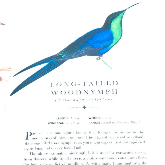 The Aviary by Matt Merritt Press Out Bird Book ISBN 978-1-6842-578-4 - Picture 7 of 8